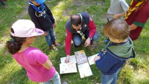 13063214_1128611653826377_5602001760931266399_o